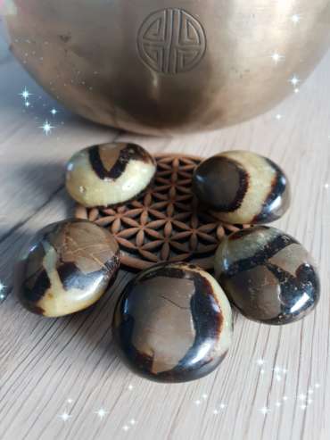 Septaria galet