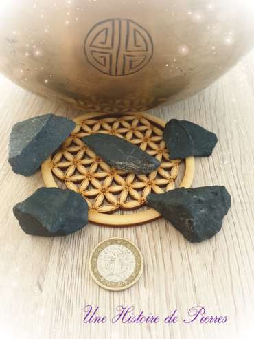 Shungite brute