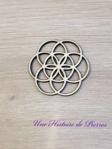 Graine de Vie bois 4.5cm