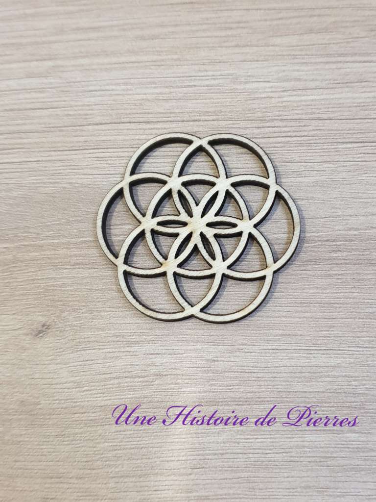 Graine de Vie bois 4.5cm