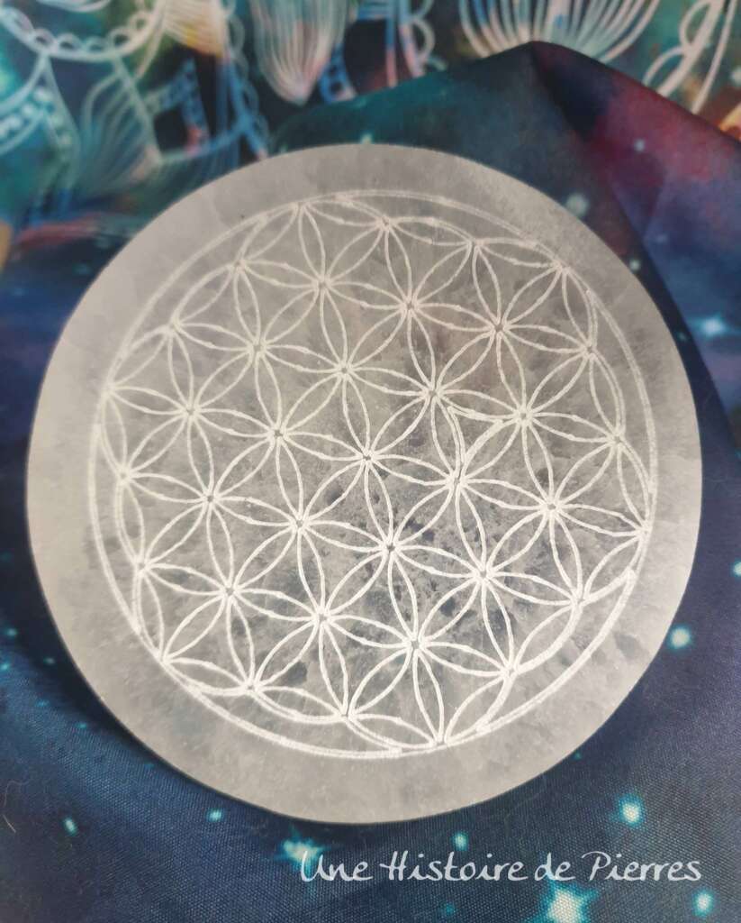 Plaque Fleur de Vie Sélénite